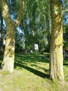 GoesinDialoog-ZeeuwsKampvuur-20190524-001